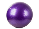 Ballon de gymnastique fitness 65 pompes de rééducation