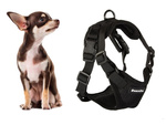 Close-clip walking harness for small dog handle light soft strong s