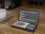 500g/0.01g poids de gramme electronique precieux