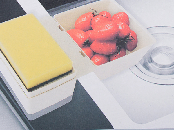 Dish liquid dispenser sponge container drainer