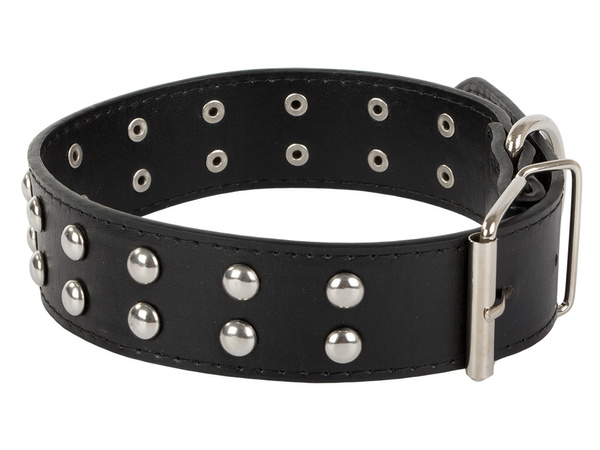 Studded dog collar eco leather adjustable l
