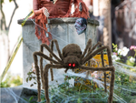 Halloween ämblik hiiglaslik tarantula kaunistus