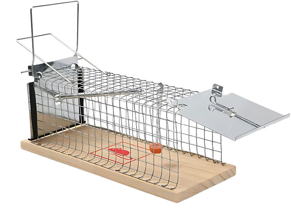 Trampa humana para ratas jaula metálica grande xl