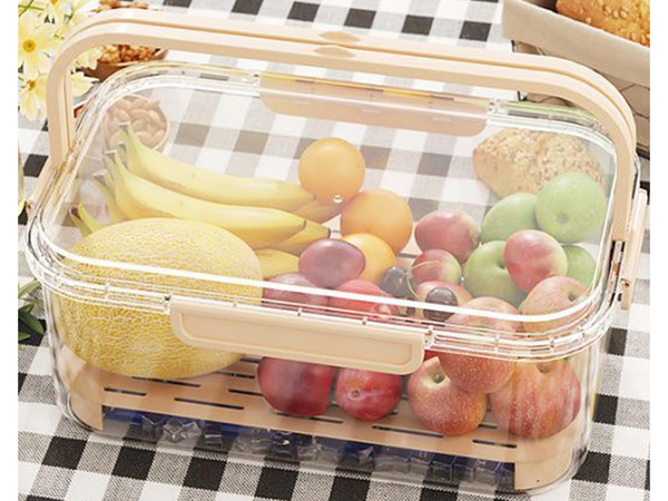 Food containers for storage at low temperatures cooling insert