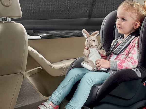 Aizmugurējā loga moskītu tīkls automašīnai melns 2gab