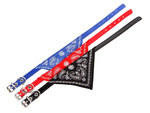 Koera kaelarihm koos bandannaga koerale kassile l