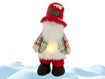 30cm ghost ghost lighted led bird árbol de navidad gnomos