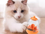 Hundespielzeug für leckerlis futter futterball interaktiver ball ball