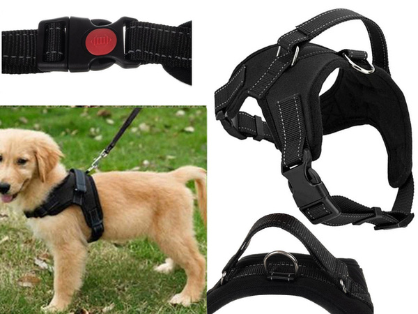 Sturdy, non-pressure harness for dogs handle lightweight s