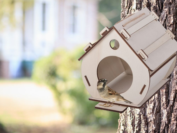 Birdhouse koka birdhouse ligzdošanas kaste montāžai krāsas diy