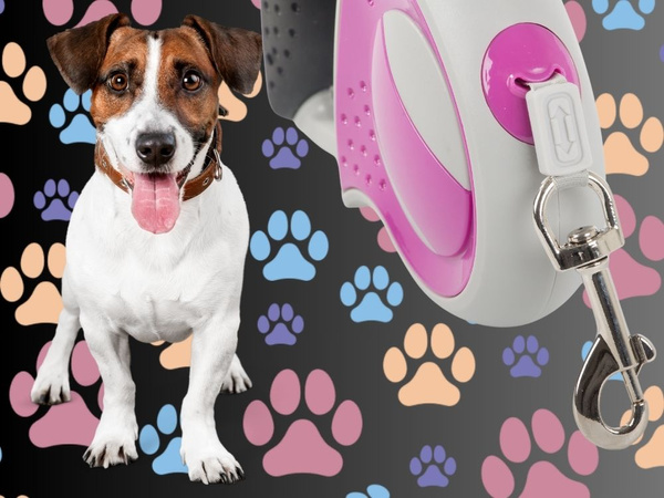 Automaatne rihm 5m tugev koerale kuni 20kg, lukuga tugev ja pikk