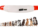 Led lighting colarge for dogs and cats waterproof adjustable 47cm usb
