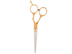 Professional hairdressing scissors