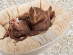 Plush dog playpen bed soft cushion couch bedding fluffy