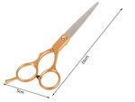Ciseaux de coiffure professionnels