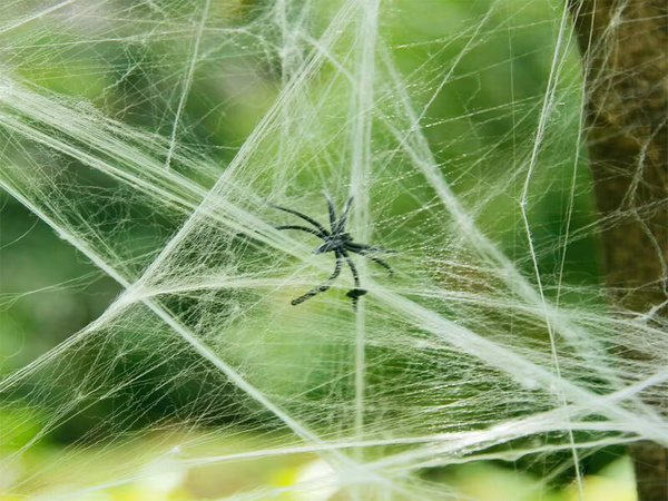 Artificial white spider web with spiders halloween decoration stretchable