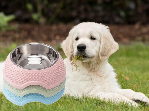 Coupe pour chiens en metal avec insertion enlevable 350ml