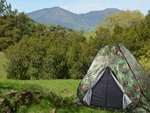 Self-folding moro automatic camping tent