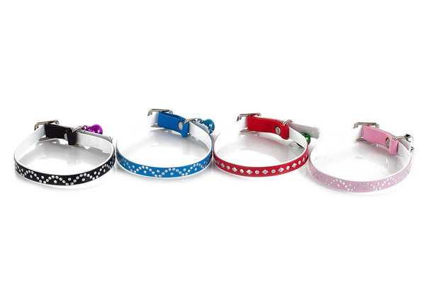 Tarjeta para perro ajustable con anillo 30cm