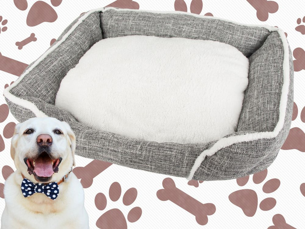 Cama para perro suave y confortable cama mullida con cojín de tamaño l