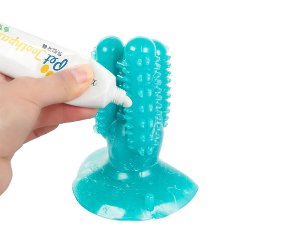 Zobna ščetka za žvečenje psov kaktus za pse