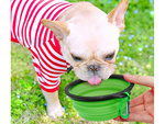 Silicone bowl for dogs foldable touristic carabinieri 400ml