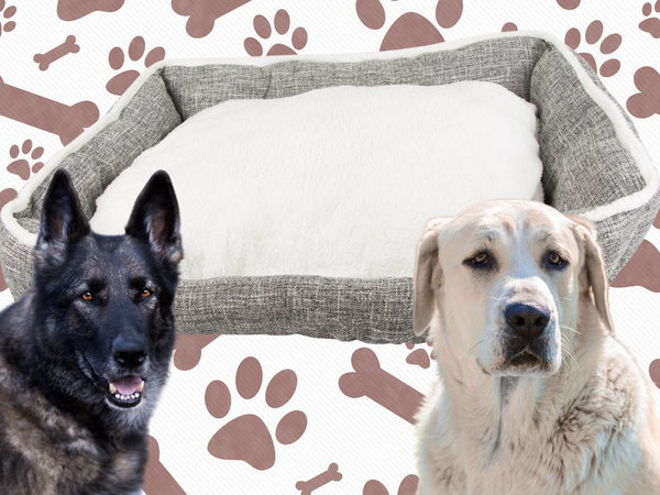 Hundebett weiches bequemes flauschiges bett mit kissen grösse xl