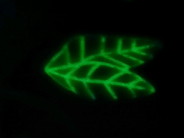 Sildītājs blood blanket lighting kid 2in1