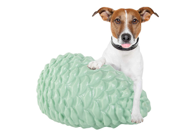 Perro masticar dientes limpieza juguete perro cono para golosinas