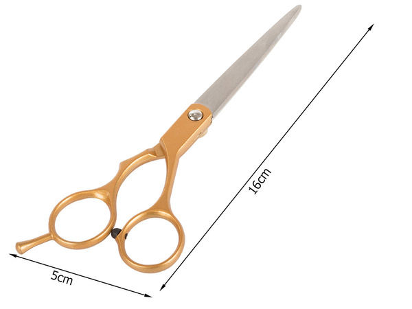 Ciseaux de coiffure professionnels