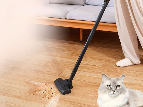 Kabelloser staubsauger ohne beutel, leistungsstark, leicht, 100 w, mit düsen-set