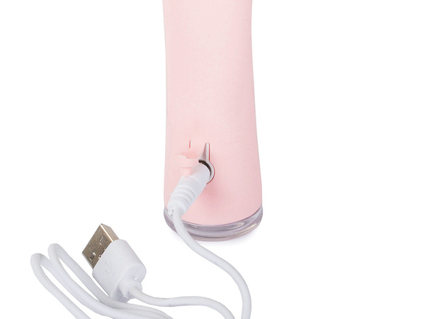 Brosse nettoyante pour le visage masseur sonique