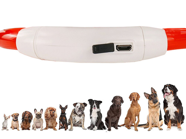 Colarga de iluminación led para perros y gatos impermeable ajustable 47cm usb