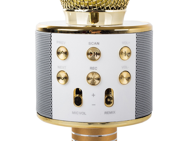 Kabelloses mikrofon bluetooth karaoke lautsprecher rund mit etui verschiedene modi