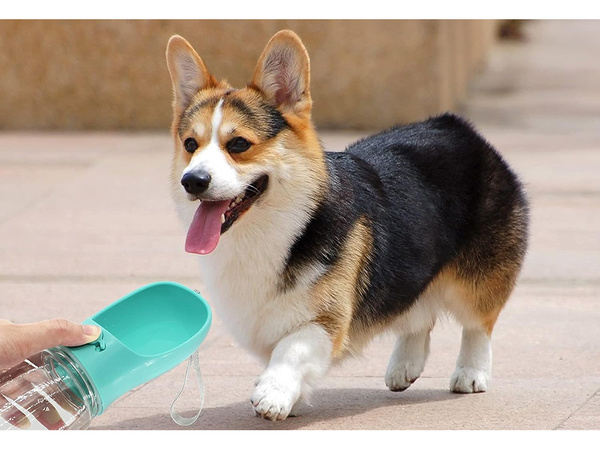 Bol à eau portable pour chien walking poison 380ml