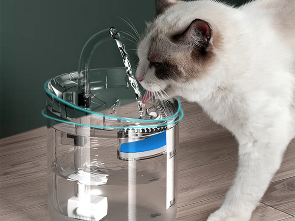 Abreuvoir automatique pour chat chien fontaine abreuvoir bol silencieux
