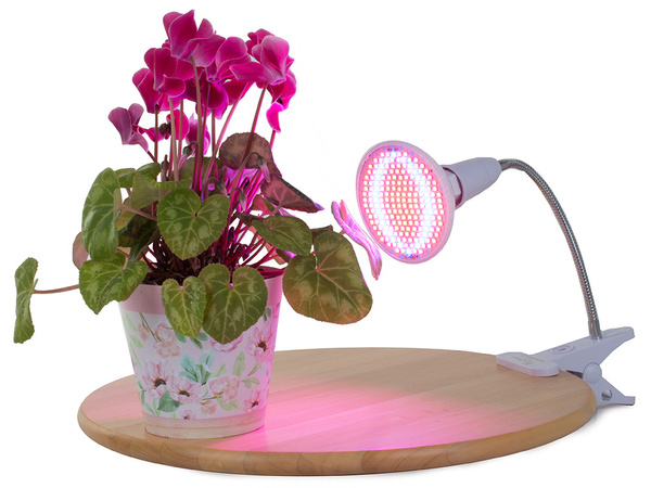Panelis 200 rezultātā lampa augu audzēšanai 20w izaugsmei