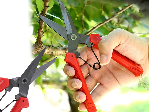 Podadora manual podadora de arbustos podadora de césped podadora de plantas