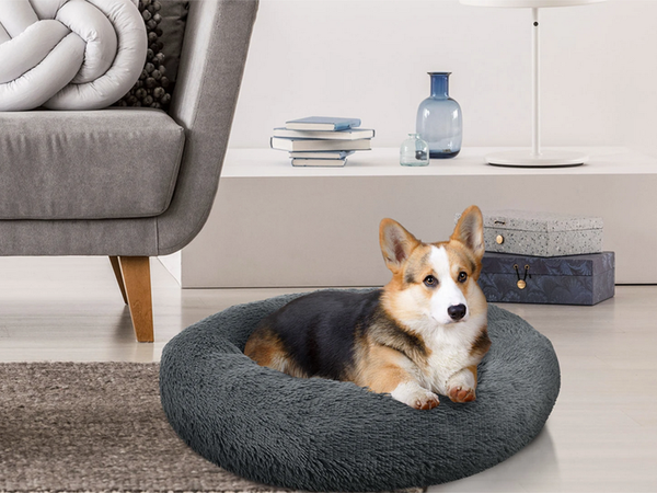 Lit pour chien pelucheux lit pour chat coussin doux lit pour canapé 80cm
