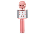Bezdrôtový mikrofón bluetooth karaoke reproduktor okrúhly s puzdrom rôzne režimy