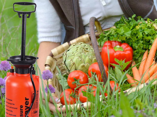Pressure sprayer garden hand sprayer long lance 8l belt