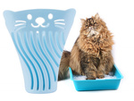 Caja de arena para gatos pala pala grande