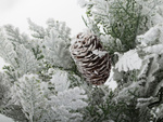 Künstlicher weihnachtsbaum schnee klein 45cm dekorativ schreibtisch tisch dick verschneit