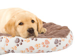 Fluffy dog bed cat bed soft 60cm