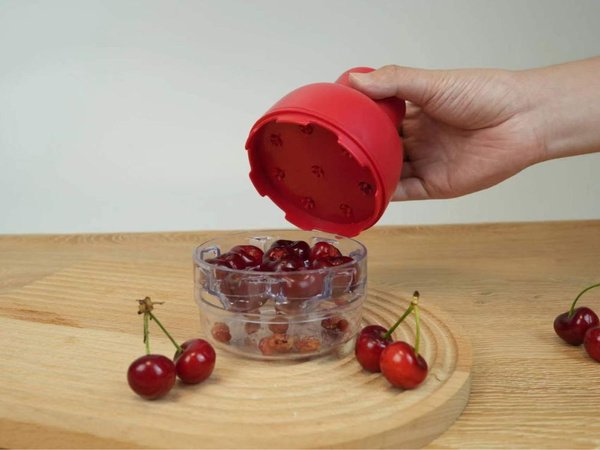 Dénoyauteur pour cerises, cerises noires et olives avec récipient, presse-noyaux manuel
