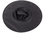 Halloween witch's hat