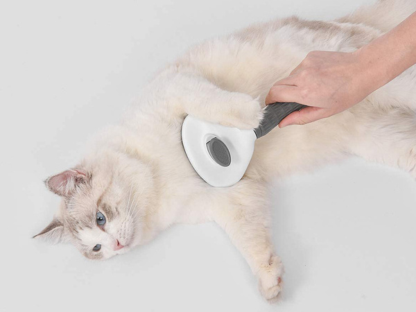 Self-cleaning hair brush for dogs cats