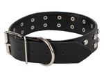 Studded dog collar eco leather adjustable l