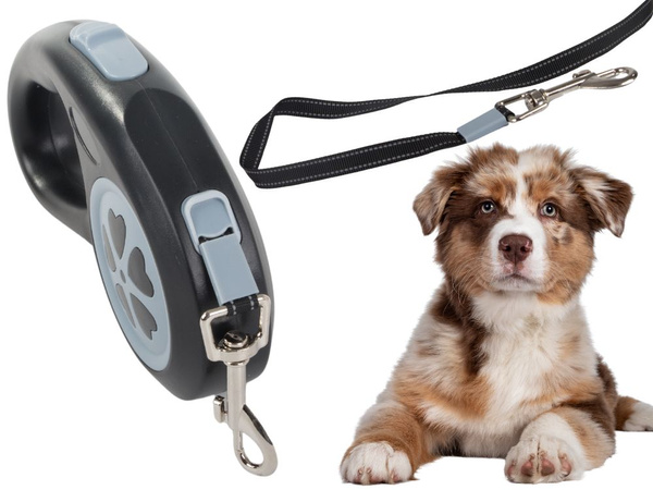 Blocage automatique de la cour de chien puissant et léger 5m 15kg
