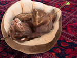 Cama de felpa cojín perro corralito gato suave sofá ropa de cama